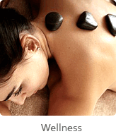 wellness